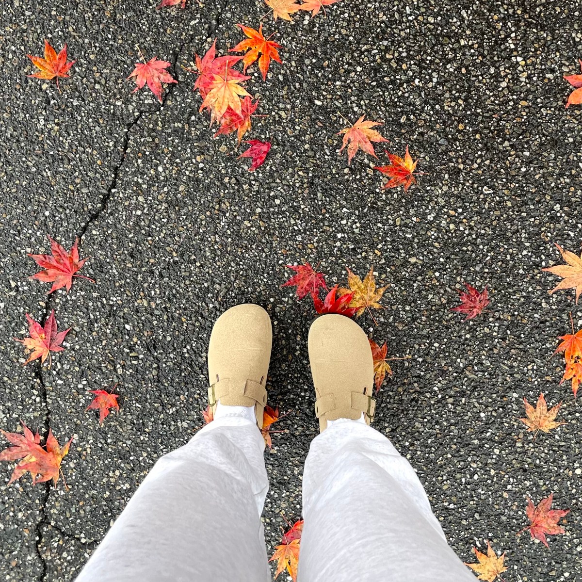 Favorite Fall Outfits From Last&nbsp;Year